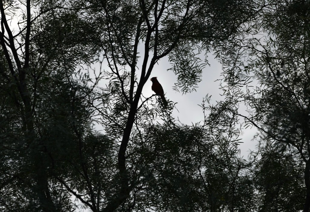 Motivational Monday: What Drives&nbsp;You?